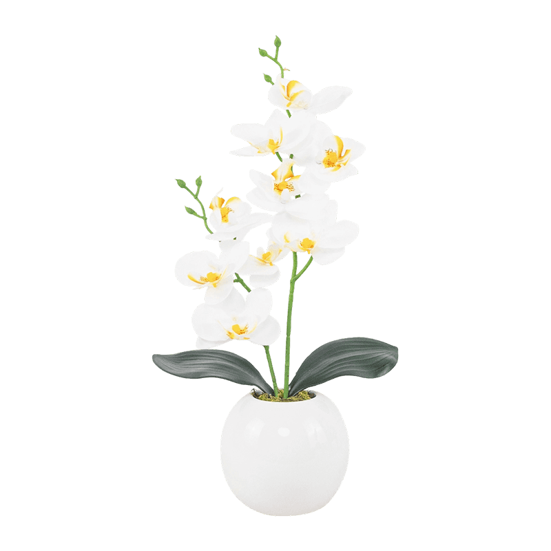 3D Print 9 Flower Orchid In Ceramic Pot 3D Print 9 Flower Orchid In Ceramic Pot