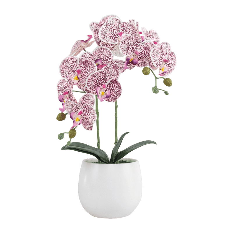 17.3"Artificial Orchid In Ceramic Pot