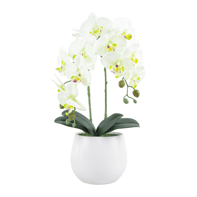 17.3"Artificial Orchid In Ceramic Pot