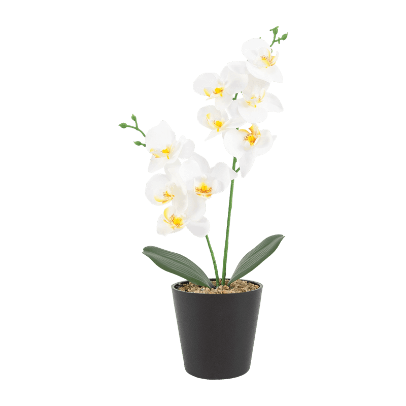 3D Print Orchid In PP Pot With 9 Flowers 3D Print Orchid In PP Pot With 9 Flowers