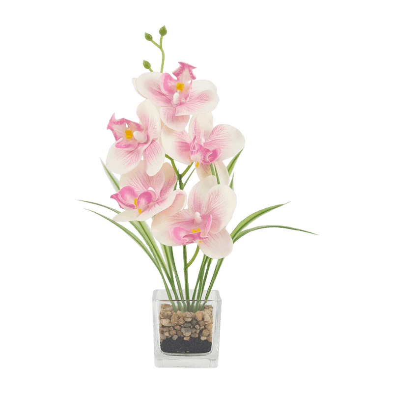 Artificial Orchid In Glass With 5 Flowers