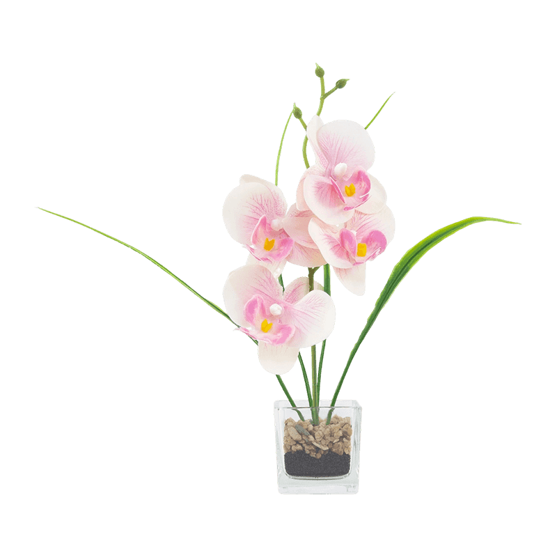 Artificial Orchid In Glass With 5 Flowers Artificial Orchid In Glass With 5 Flowers