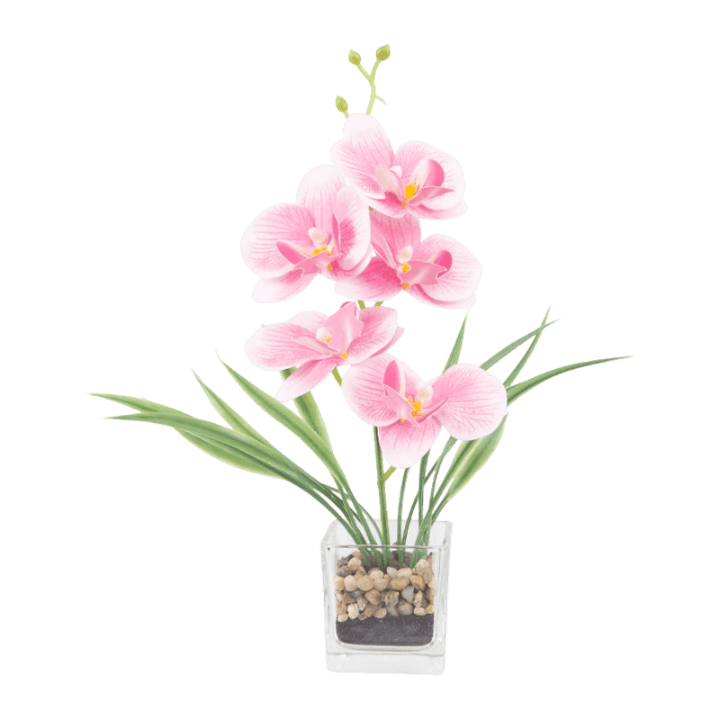 Artificial Orchid In Glass With 5 Flowers Artificial Orchid In Glass With 5 Flowers