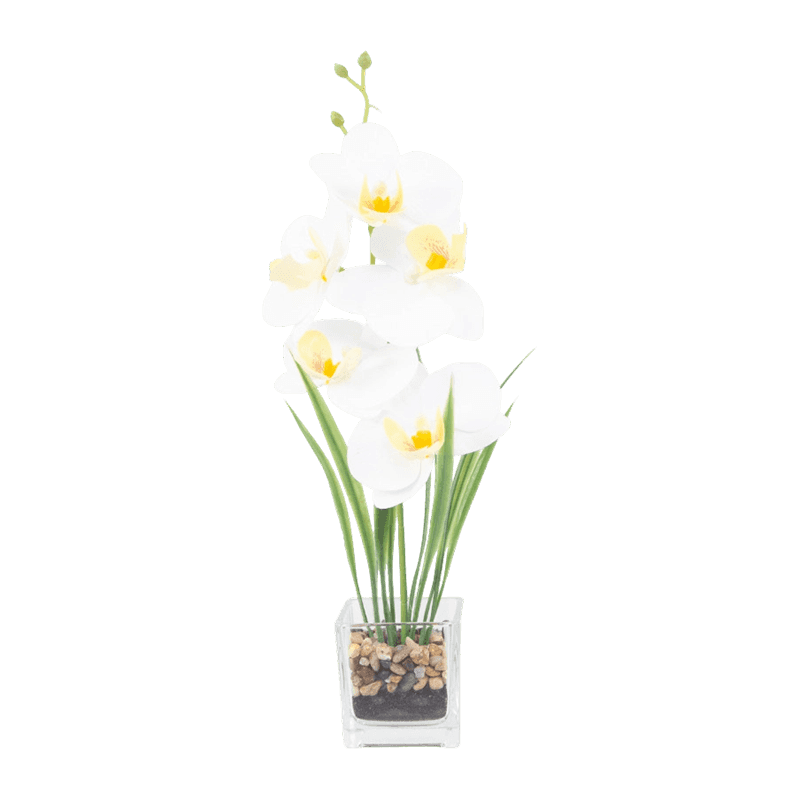 Artificial Orchid In Glass With 5 Flowers Artificial Orchid In Glass With 5 Flowers