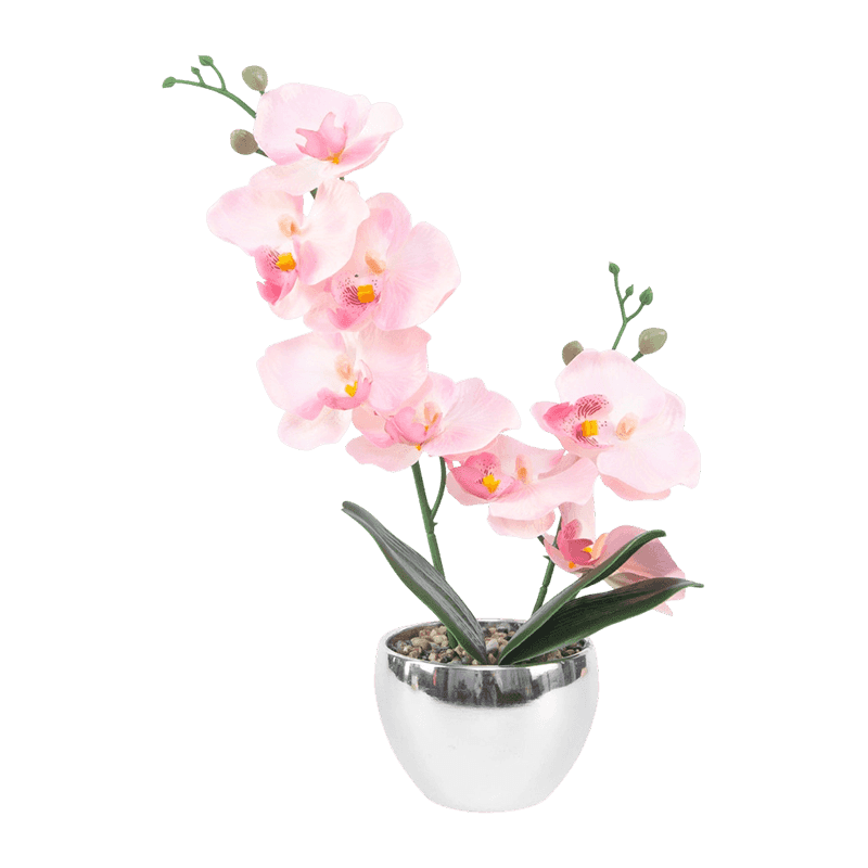 13"H White Mini Orchid In Round Silver Melamine Pot-1S/8Flw 13"H White Mini Orchid In Round Silver Melamine Pot-1S/8Flw