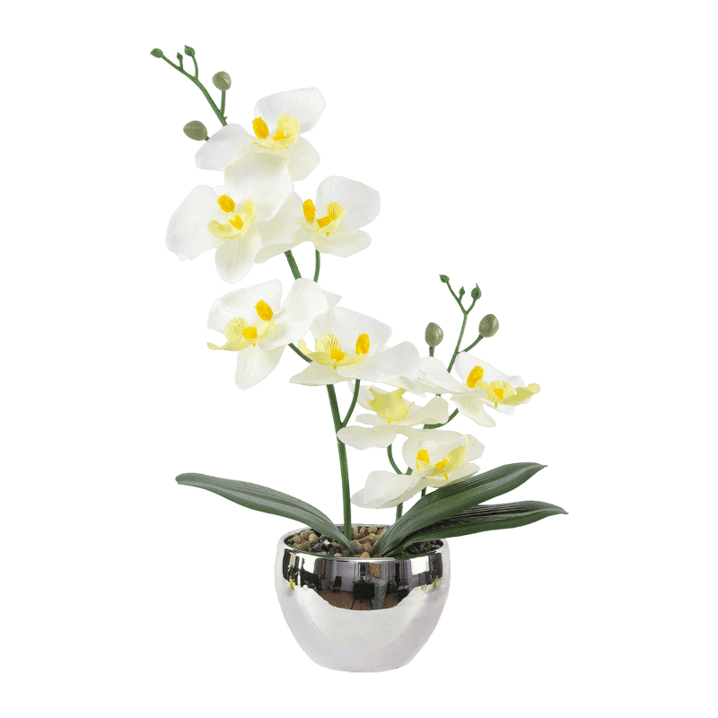 13"H White Mini Orchid In Round Silver Melamine Pot-1S/8Flw