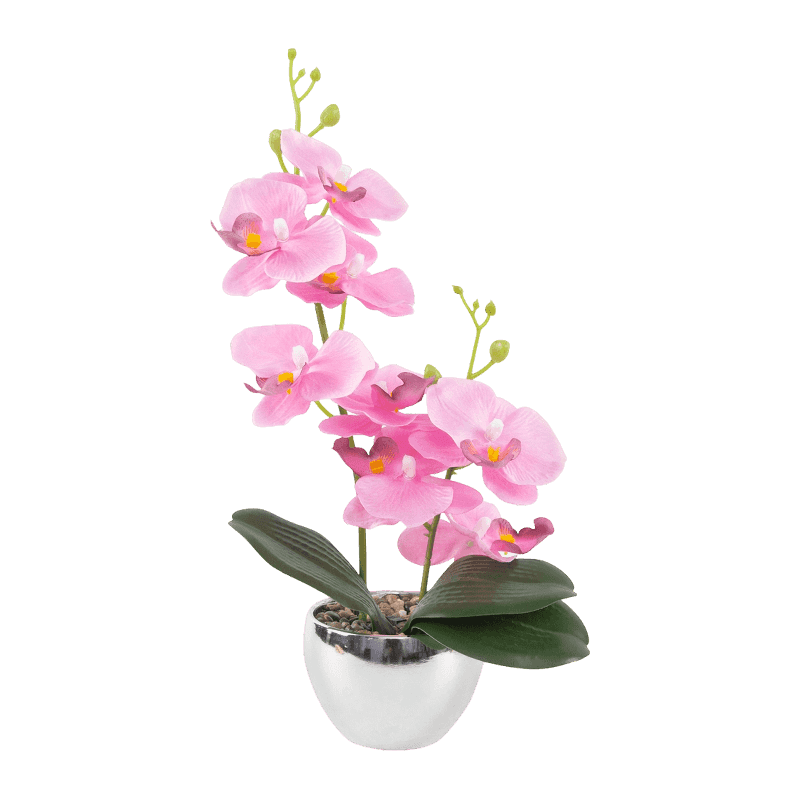 13"H White Mini Orchid In Round Silver Melamine Pot-1S/8Flw 13"H White Mini Orchid In Round Silver Melamine Pot-1S/8Flw