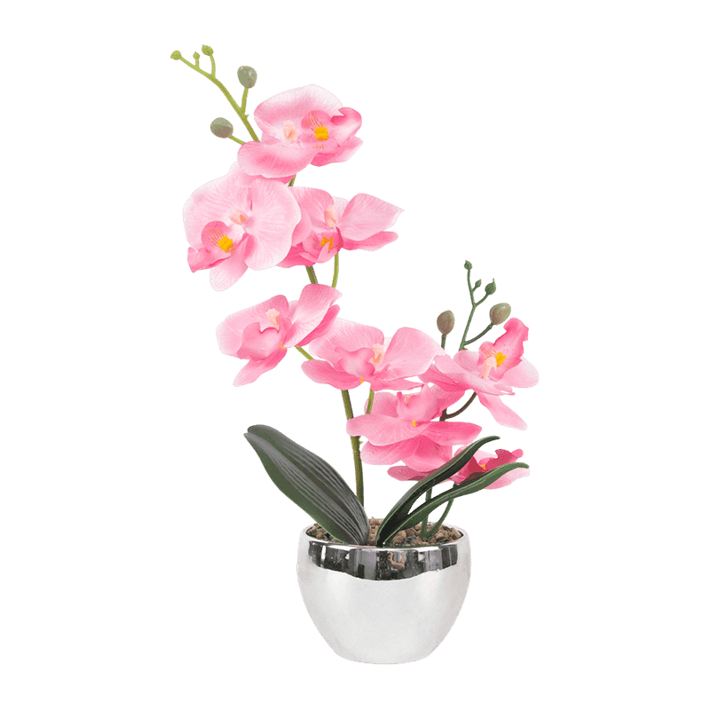 13"H White Mini Orchid In Round Silver Melamine Pot-1S/8Flw 13"H White Mini Orchid In Round Silver Melamine Pot-1S/8Flw