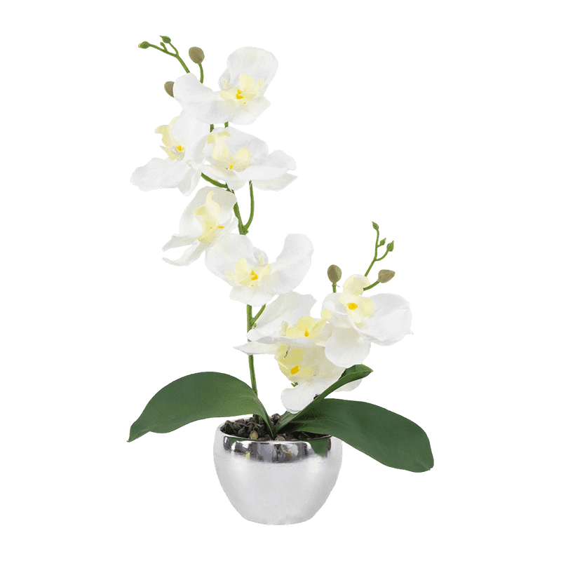 13"H White Mini Orchid In Round Silver Melamine Pot-1S/8Flw 13"H White Mini Orchid In Round Silver Melamine Pot-1S/8Flw