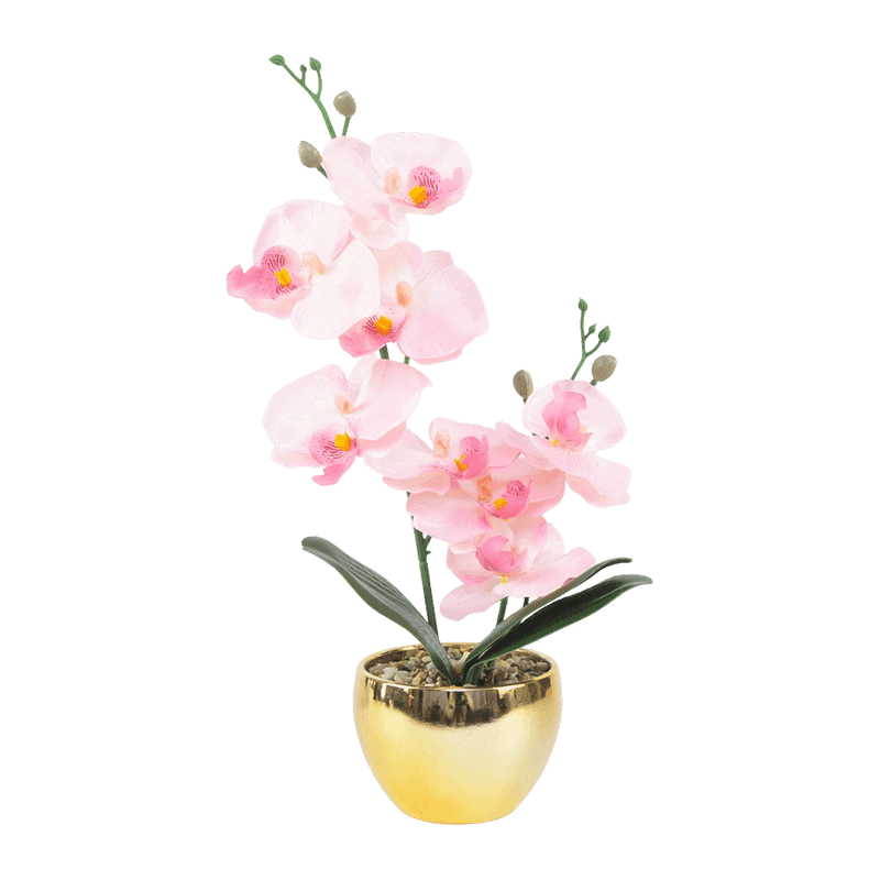 13"H LT Pink Mini Orchid In Round Gold Melamine Pot-1S/8Flw 13"H LT Pink Mini Orchid In Round Gold Melamine Pot-1S/8Flw
