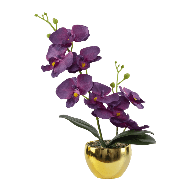 13"H LT Pink Mini Orchid In Round Gold Melamine Pot-1S/8Flw
