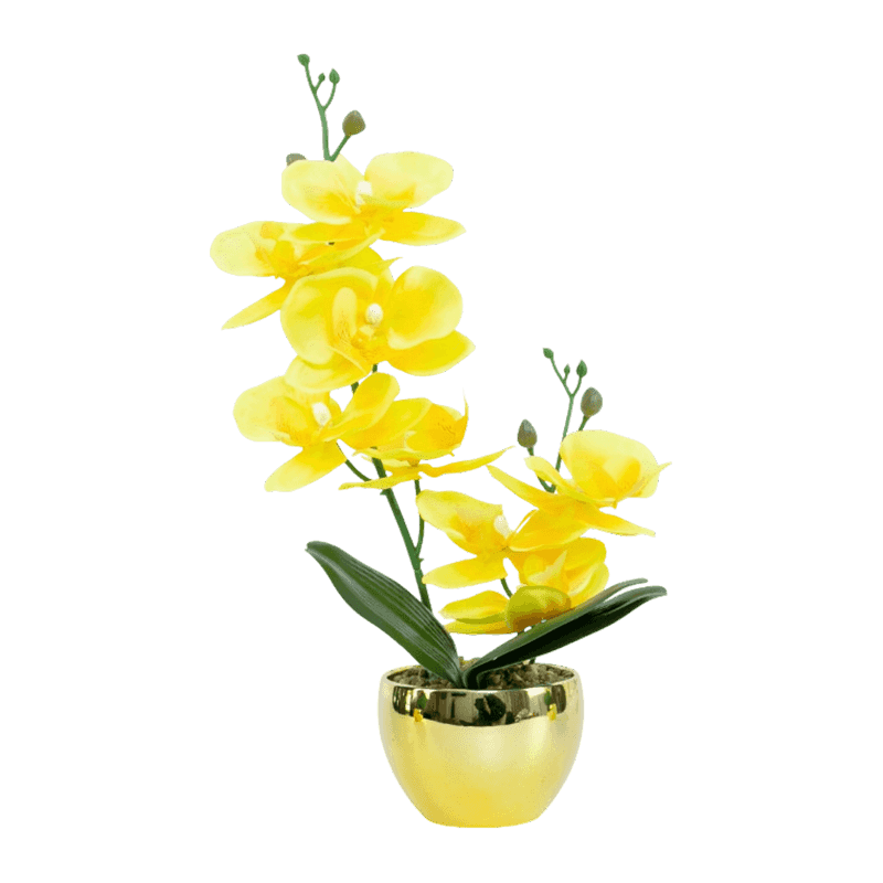 13"H LT Pink Mini Orchid In Round Gold Melamine Pot-1S/8Flw 13"H LT Pink Mini Orchid In Round Gold Melamine Pot-1S/8Flw