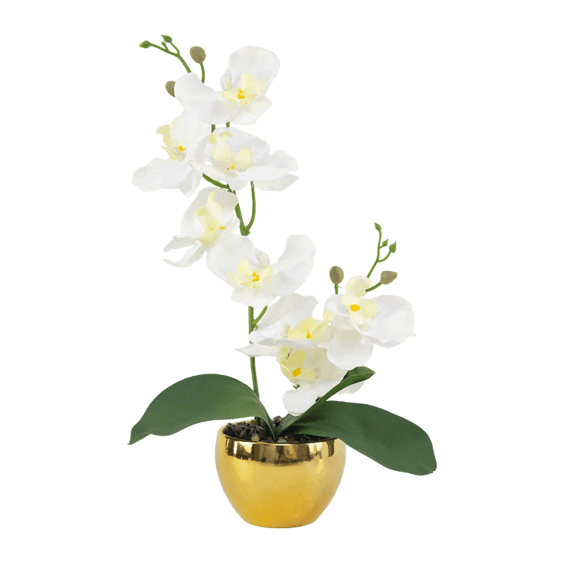 13"H LT Pink Mini Orchid In Round Gold Melamine Pot-1S/8Flw 13"H LT Pink Mini Orchid In Round Gold Melamine Pot-1S/8Flw