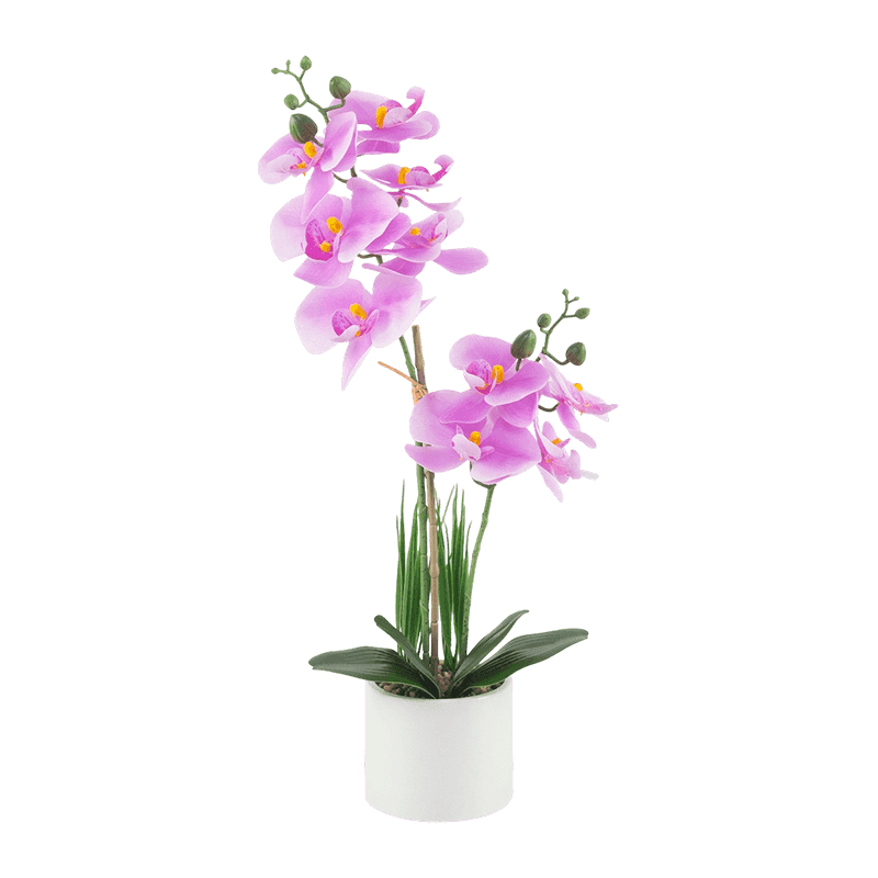 17"H White Orchid In White Ceramic Pot-2S/10Flw 17"H White Orchid In White Ceramic Pot-2S/10Flw