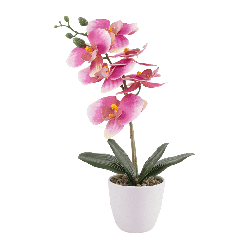 16"H RT Dark Pink Orchid In White Melamine Pot-1S/6Flw 16"H RT Dark Pink Orchid In White Melamine Pot-1S/6Flw