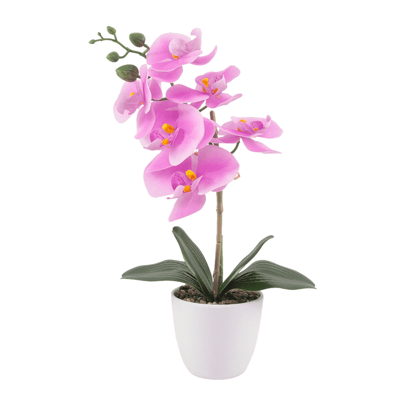 16"H RT Dark Pink Orchid In White Melamine Pot-1S/6Flw 16"H RT Dark Pink Orchid In White Melamine Pot-1S/6Flw