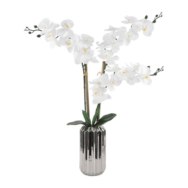 32"H White Silk Orhids In Silver Ribbed Tall Ceramic Pot-3S/25 Flw 32"H White Silk Orhids In Silver Ribbed Tall Ceramic Pot-3S/25 Flw