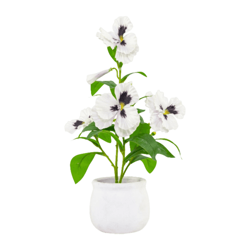 Pansy Flower In Paper Pulp Pot 32cm Pansy Flower In Paper Pulp Pot 32cm