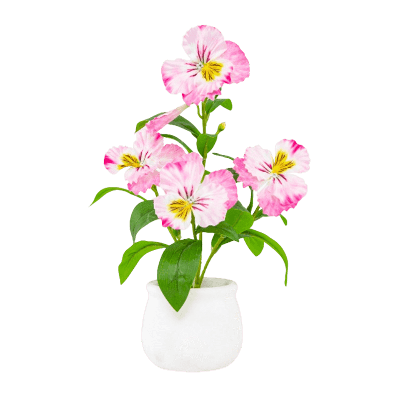 Pansy Flower In Paper Pulp Pot 32cm