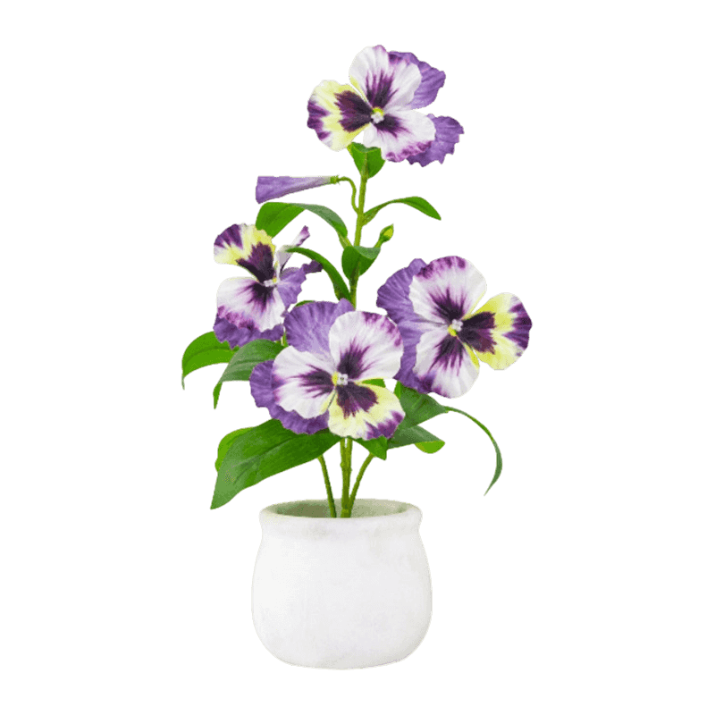 Pansy Flower In Paper Pulp Pot 32cm Pansy Flower In Paper Pulp Pot 32cm