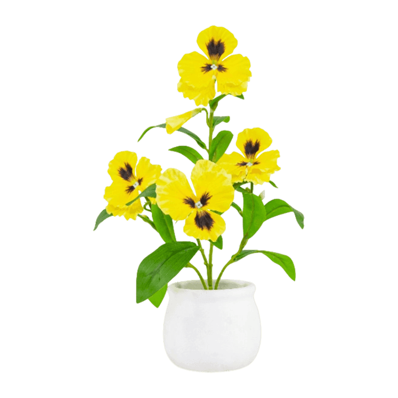 Pansy Flower In Paper Pulp Pot 32cm Pansy Flower In Paper Pulp Pot 32cm