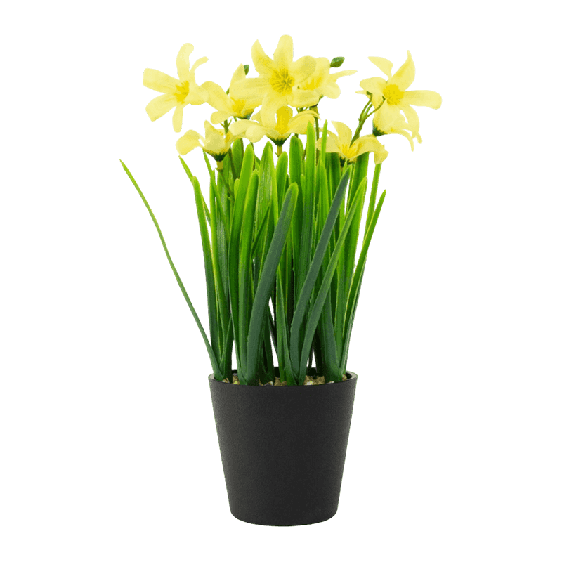 Artificial Hyacinth Flower In PP PT