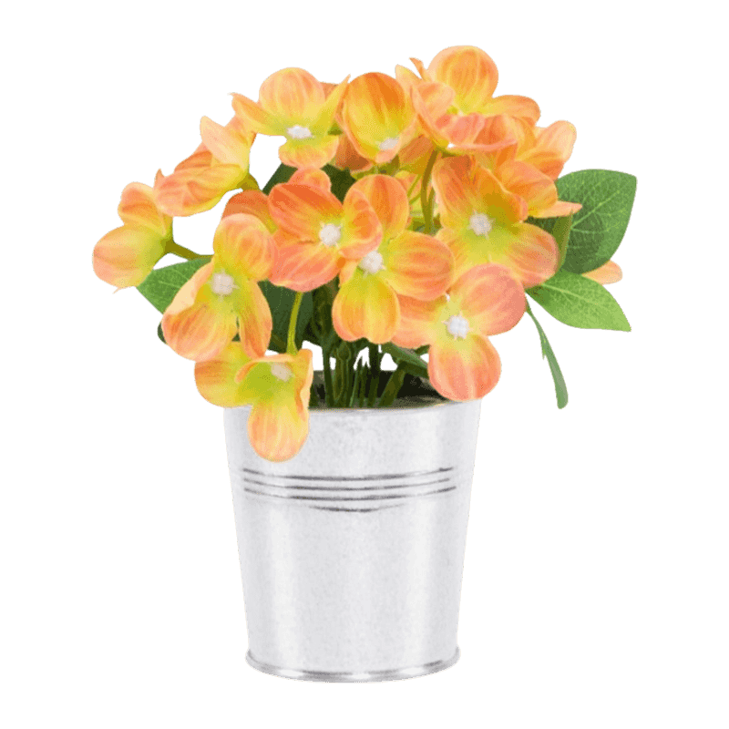 Syringa Vulgaris Flower In Iron Pot