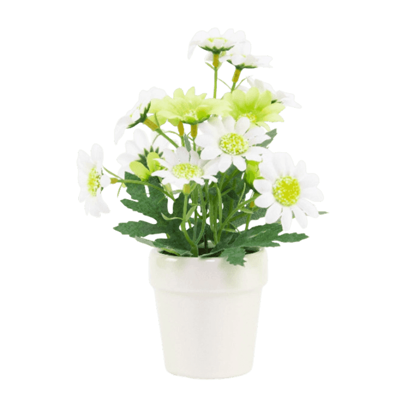 Daisy Flower In Ceramic PT 20cm Daisy Flower In Ceramic PT 20cm