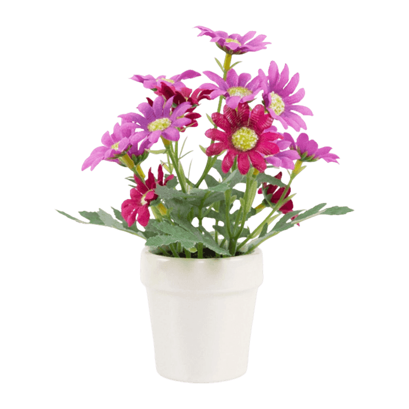 Daisy Flower In Ceramic PT 20cm Daisy Flower In Ceramic PT 20cm