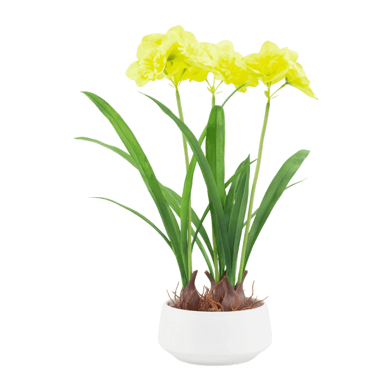 Artificial Narcissus In PP Pot 42cm Artificial Narcissus In PP Pot 42cm