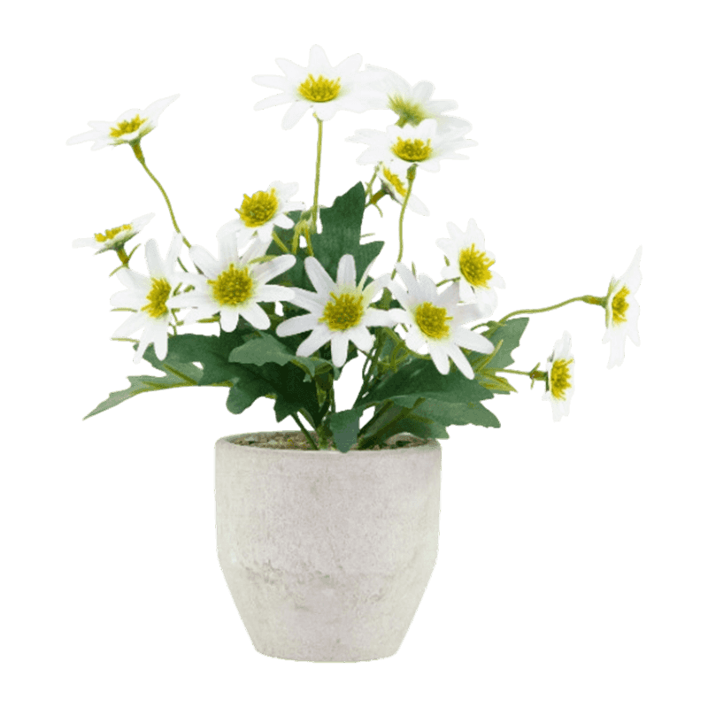 3D Daisy Flower In Paper Pulp Pot 25cm 3D Daisy Flower In Paper Pulp Pot 25cm
