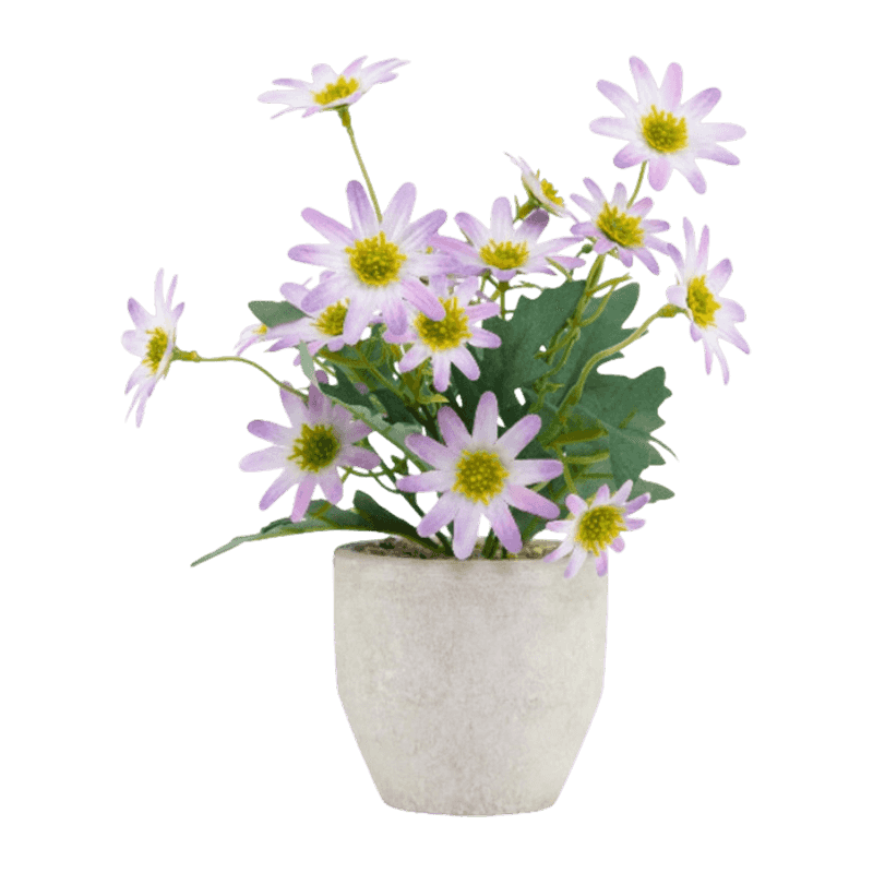 3D Daisy Flower In Paper Pulp Pot 25cm 3D Daisy Flower In Paper Pulp Pot 25cm
