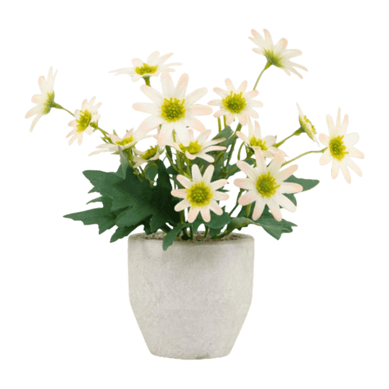 3D Daisy Flower In Paper Pulp Pot 25cm 3D Daisy Flower In Paper Pulp Pot 25cm