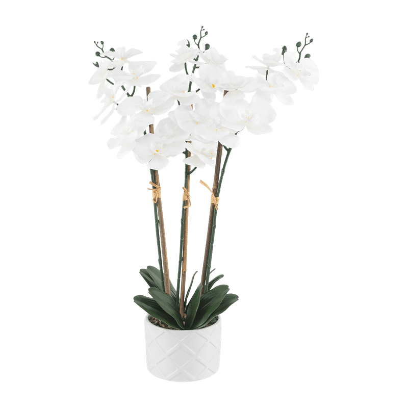 23.6” H White Silk Orchid In White Embossed Ceramic Pot-3S/23Flw 23.6” H White Silk Orchid In White Embossed Ceramic Pot-3S/23Flw