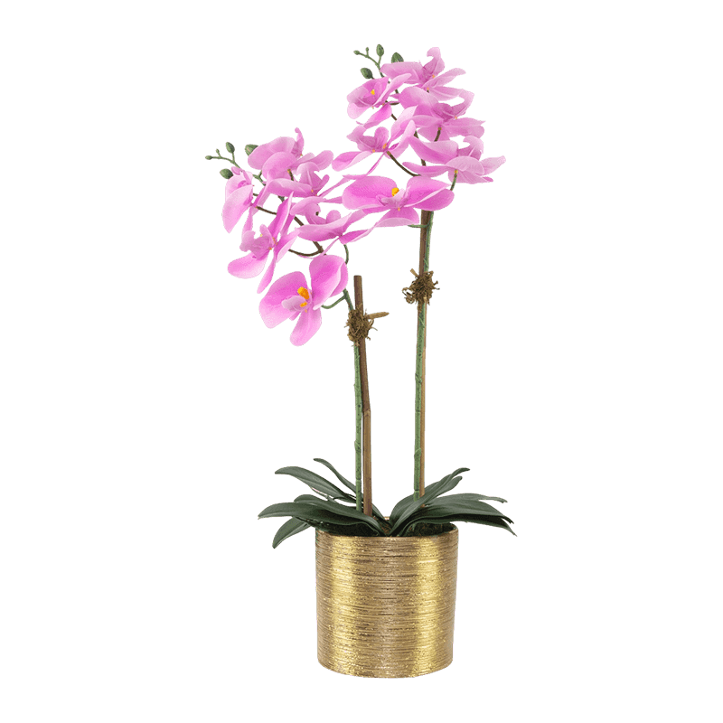 2 Branch Artificial Orchid In Ceramic Pot