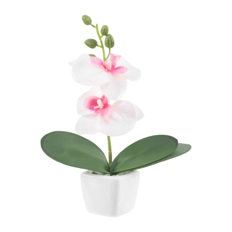 Artificial Orchid In Ceramic Pot