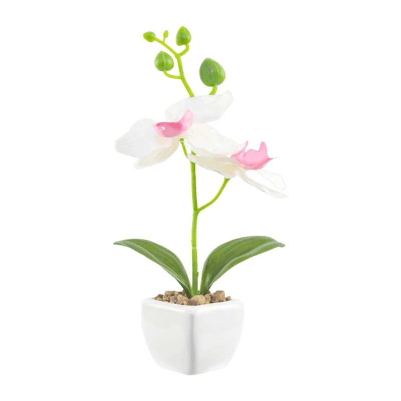 8.66"Artificial Orchid With 2 Flowers In Ceramic Pot 8.66"Artificial Orchid With 2 Flowers In Ceramic Pot