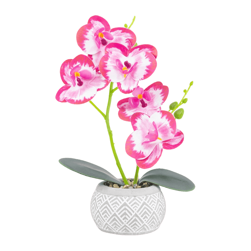 9.8"Artificial Orchid With 7 Flowers In Cement Pot