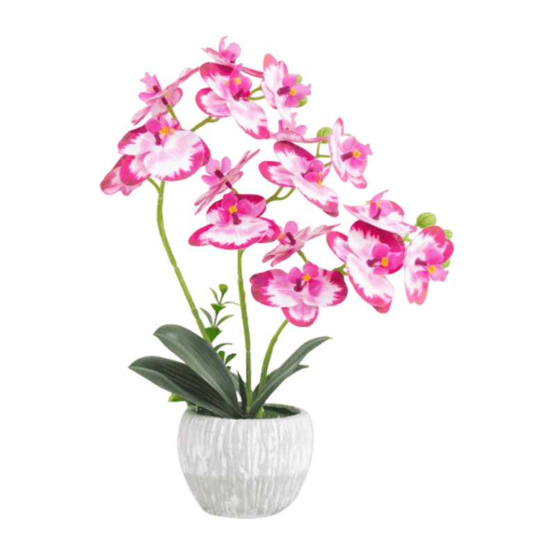 15.5"H 3D Orchid In Cement Pot