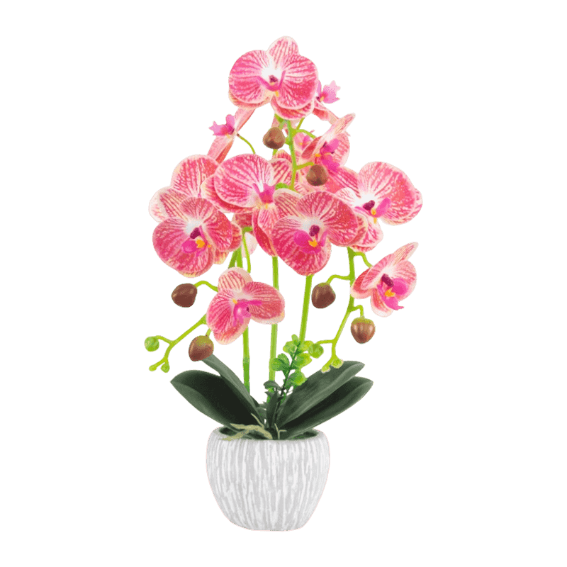 17”H 3D Orchid In Cement Pot