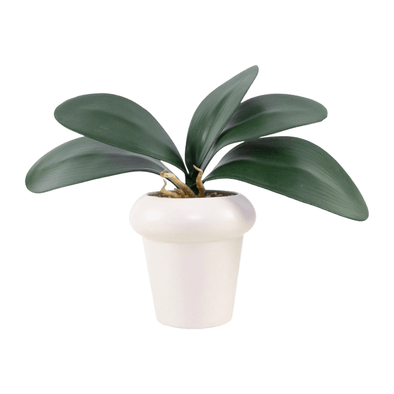 Artificial Butterfly Orchid Leaf With Ceramic Pot