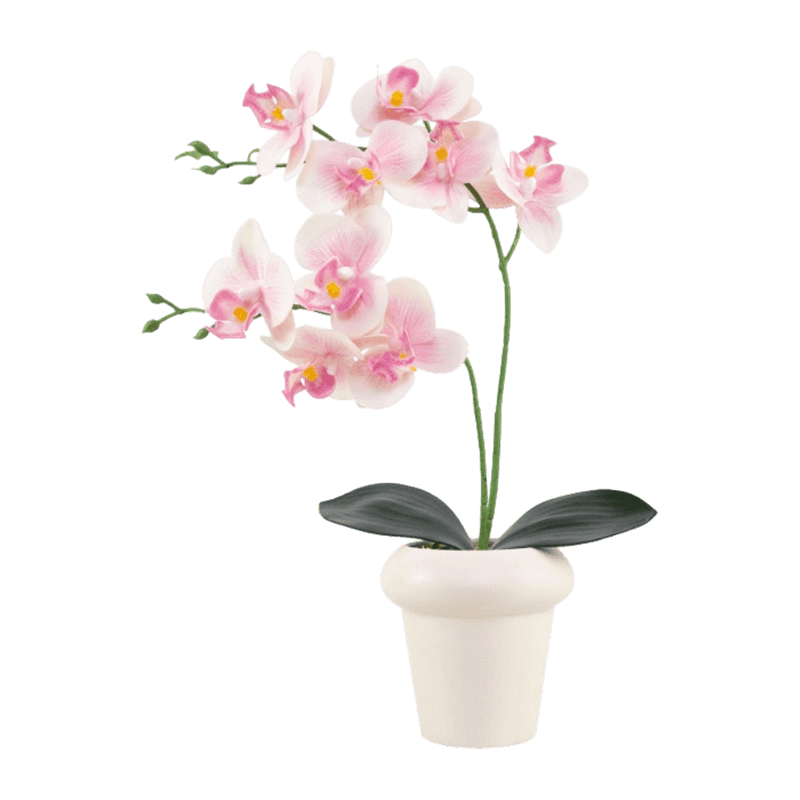 Artificial Butterfly Orchid Leaf With Ceramic Pot