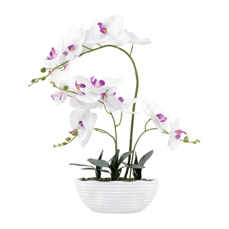 3D Orchid With 17 Flowers In Ceramic Pot