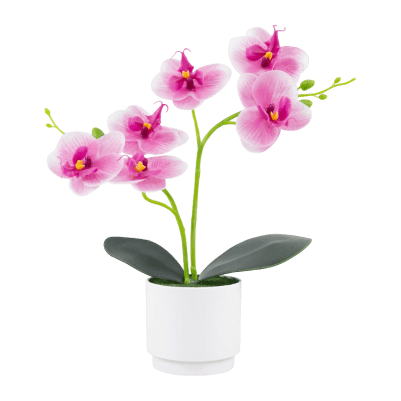 10.5" 3D Orchid With 6 Flowers In PP Pot
