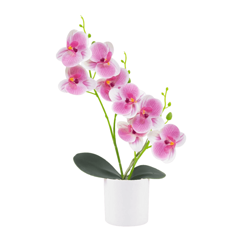 13.8"Artificial Orchid With 8 Flowers In PP Pot