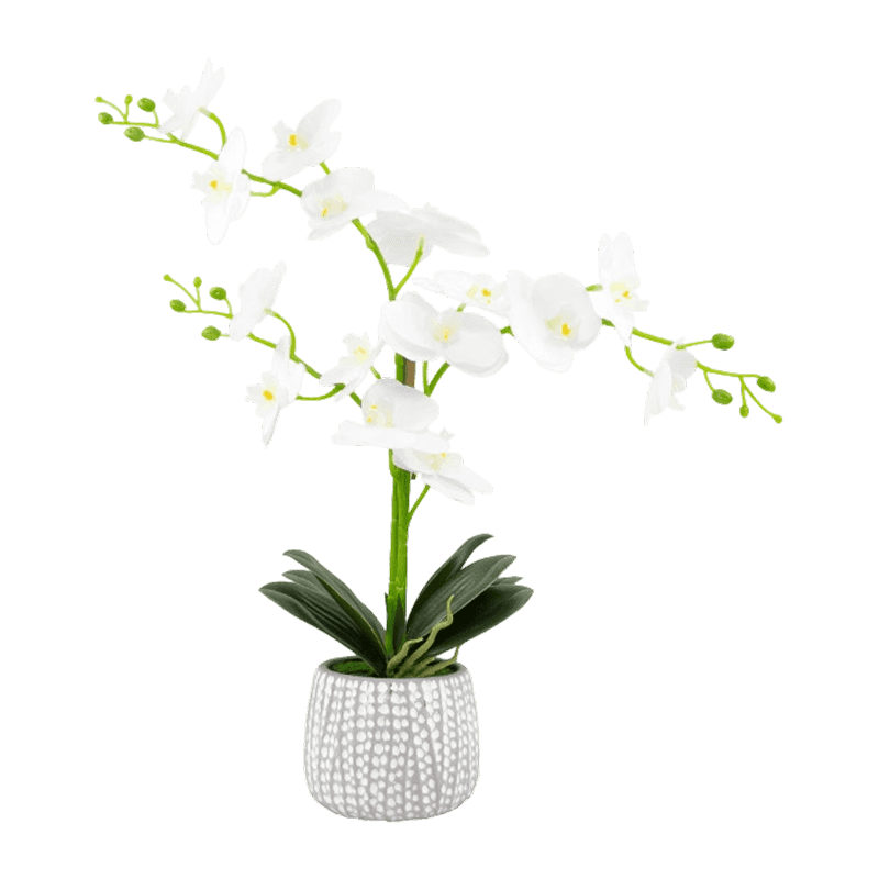10.5"H 3D Artificial Orchid Flower With 15 Flowers In Cement Pot 10.5"H 3D Artificial Orchid Flower With 15 Flowers In Cement Pot