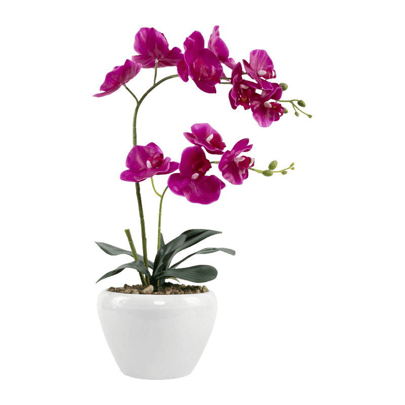 19.3"Artificial Real Touch Orchid In Ceramic Pot