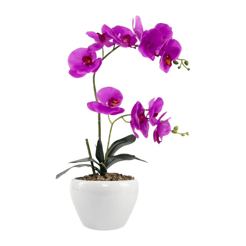 19.3"Artificial Real Touch Orchid In Ceramic Pot