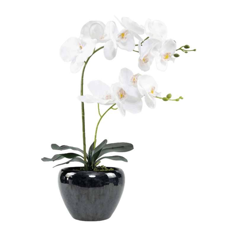 19.3"Artificial Real Touch Orchid In Ceramic Pot