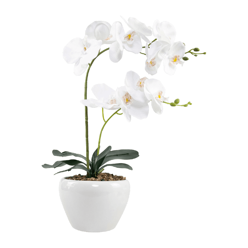 19.3"Artificial Real Touch Orchid In Ceramic Pot